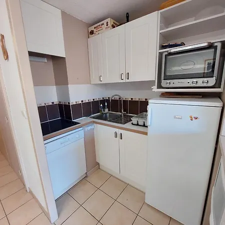 Apartmán Spacieux 2 Pieces, Vue Pistes, Animaux Admis - Fr-1-516-60 Les Deux Alpes
