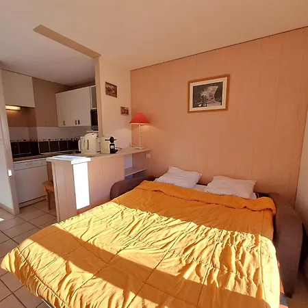 Spacieux 2 Pièces, Vue Pistes, Animaux Admis - Fr-1-516-60 * Les Deux Alpes