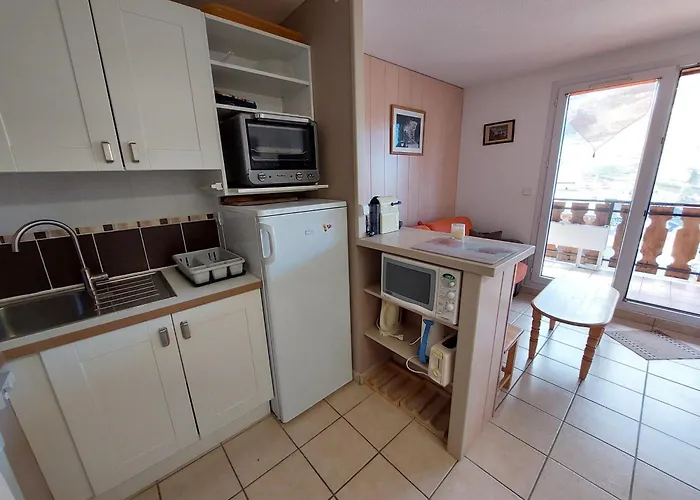 Spacieux 2 Pieces, Vue Pistes, Animaux Admis - Fr-1-516-60