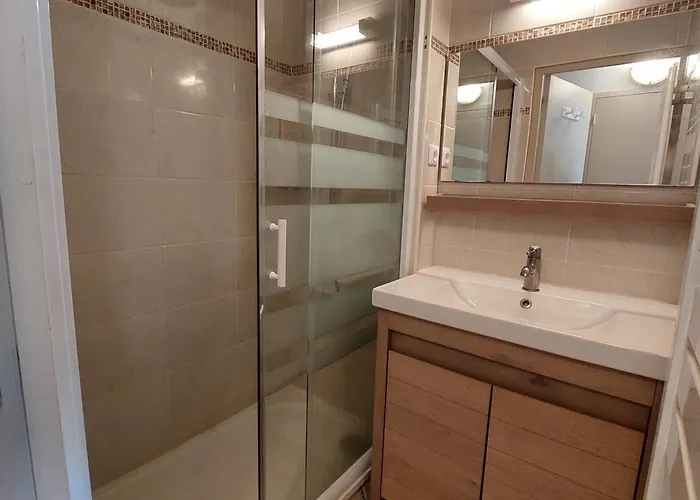 Spacieux 2 Pieces, Vue Pistes, Animaux Admis - Fr-1-516-60